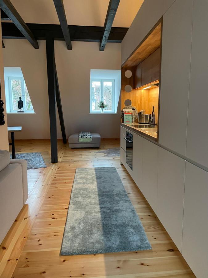 Voh Super Exklusives Loft, Zentral, Smart-Tv, Parkplatz Apartment Vohenstrauss Luaran gambar
